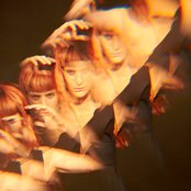 Owlle - List pictures