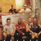 D-cru - List pictures