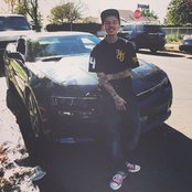 Phora - List pictures