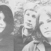 The Pastels - List pictures