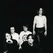 Levitation - List pictures