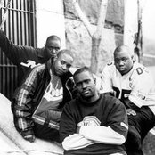 Screwball - List pictures