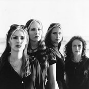 Drain S.t.h. - List pictures