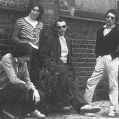 Buzzcocks - List pictures