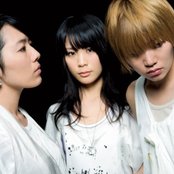 Chat Monchy - List pictures