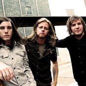 Fighting Instinct - List pictures