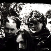 Tragically Hip - List pictures