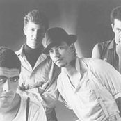 Plebe Rude - List pictures