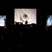 Orcas - List pictures