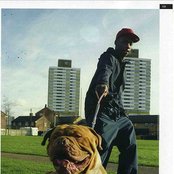 Crazy Titch - List pictures