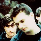 Vivid - List pictures