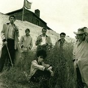 Pogues - List pictures
