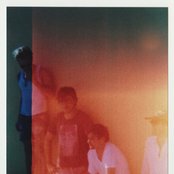 Grizzly Bear - List pictures