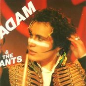 Adam And The Ants - List pictures