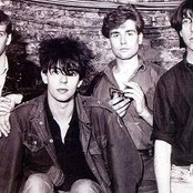 Echo & The Bunnymen - List pictures