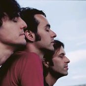 Wheat - List pictures