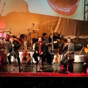 Die Prinzen - List pictures