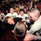 50 Lions - List pictures