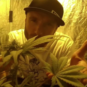 Papa Style - List pictures