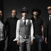 Kinky - List pictures