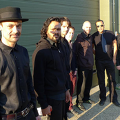 Melt Yourself Down - List pictures