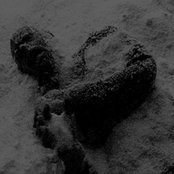 Black Frost - List pictures