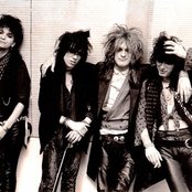 Dogs Damour - List pictures