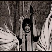 Brandon Boyd - List pictures