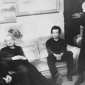 The Skull Defekts - List pictures