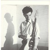 Manicured Noise - List pictures