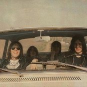 Stooges - List pictures