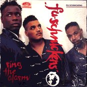 Fu-schnickens - List pictures