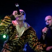 Bikstok Røgsystem - List pictures