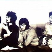 The Tremoloes - List pictures