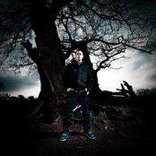 Taxman - List pictures