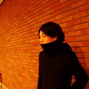 Arc Of Doves - List pictures