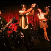 The Black Doves - List pictures