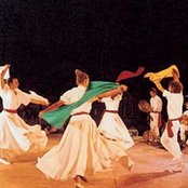 Arakne Mediterranea - List pictures