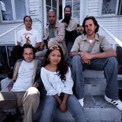 Dengue Fever - List pictures