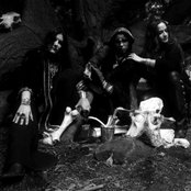 Grey - List pictures