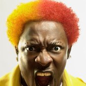 Elephant Man - List pictures