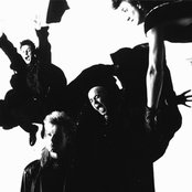 Shriekback - List pictures