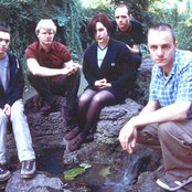 Trembling Blue Stars - List pictures