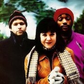 Throwing Muses - List pictures