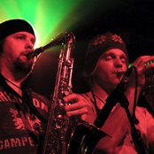 Salmonella Dub - List pictures