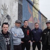 Street Dogs - List pictures