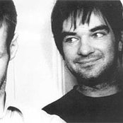 Hothouse Flowers - List pictures