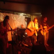 The Amber Herd - List pictures