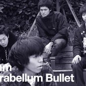 9mm Parabellum Bullet - List pictures