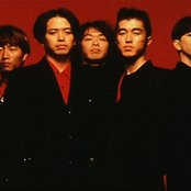 Unicorn - List pictures